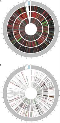 Response of Lactobacillus plantarum WCFS1 to the Gram-Negative Pathogen-Associated Quorum Sensing Molecule N-3-Oxododecanoyl Homoserine Lactone